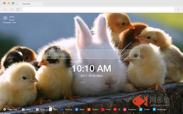 小动物 萌物 可爱 高清 壁纸 新标签主题