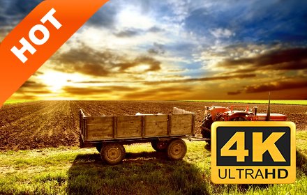 拖拉机 新标签页 高清壁纸 热门壁纸 主题插件截图