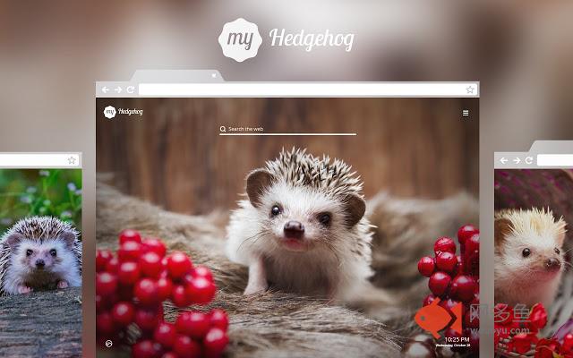 My Hedgehog HD Wallpapers New Tab Theme