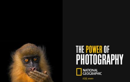 National Geographic Photo of the day New Tab插件截图