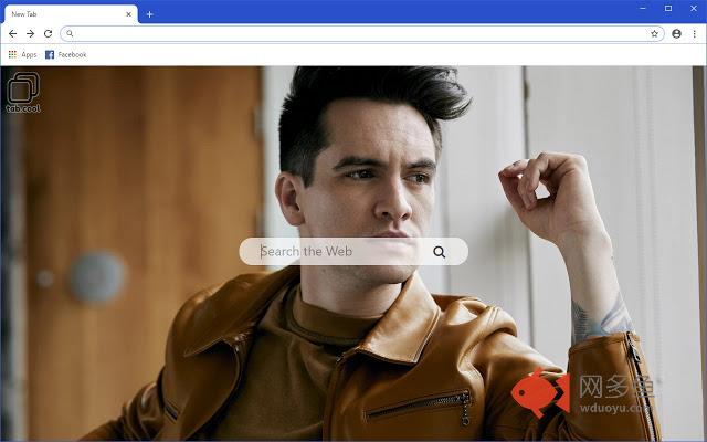 Cool Panic! at the Disco HD Wallpapers Theme