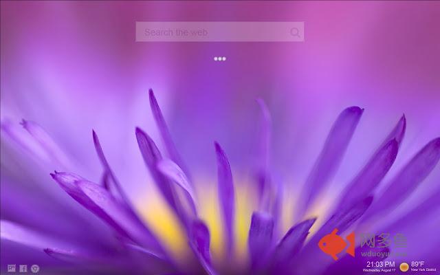 Flower HD Wallpapers