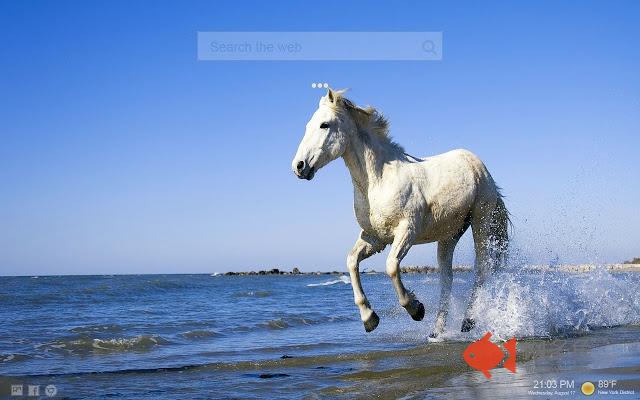 Horse Backgrounds