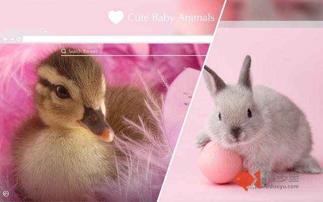 Cute Baby Animals HD Wallpaper New Tab Theme