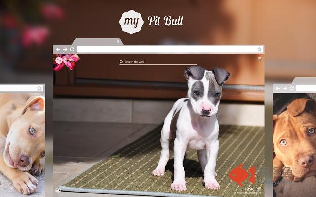 My Pitbull - Cute Dog & Puppy Wallpapers