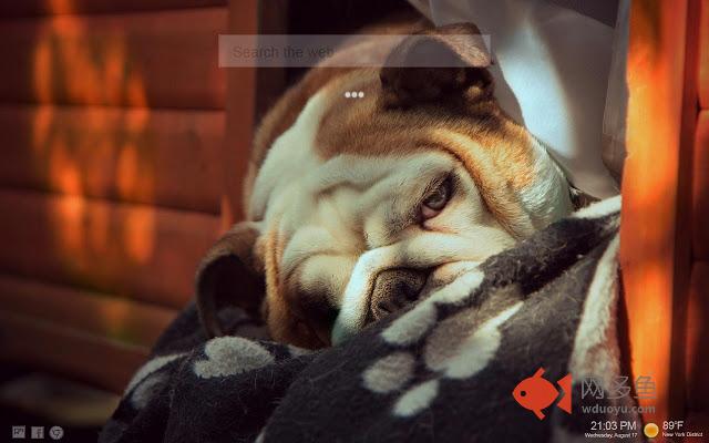 Bulldogs Tab HD