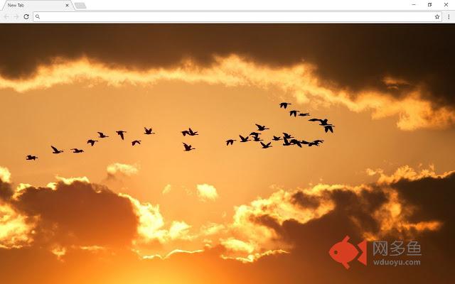 Nature New Tab Page