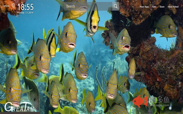 Underwater Ocean HD Wallpapers New Tab