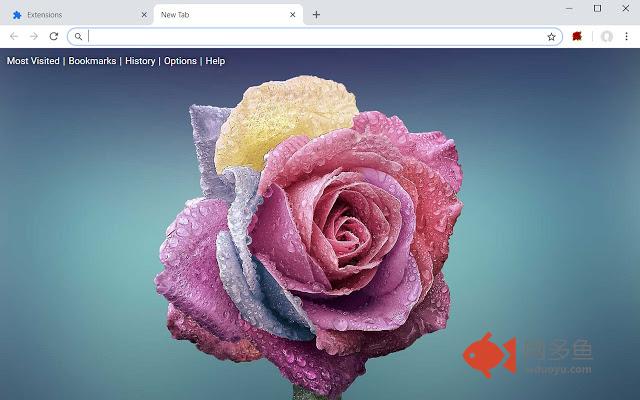 Rose Wallpapers HD Roses New Tab Theme