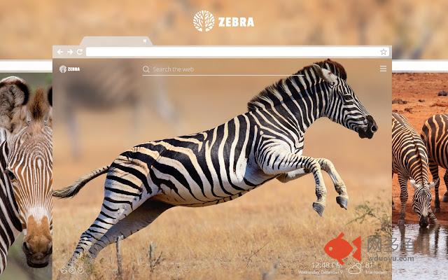 Zebra HD Wallpaper New Tab Theme