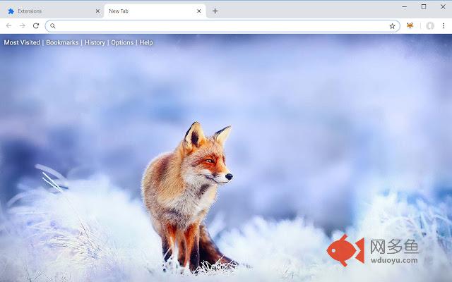 Fox HD Wallpapers Foxes New Tab Theme
