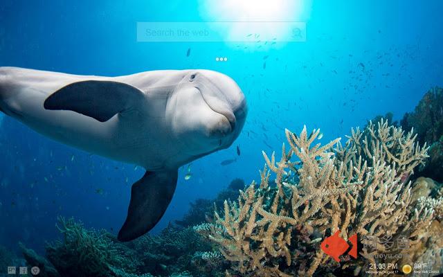 Underwater Ocean NewTab Backgrounds