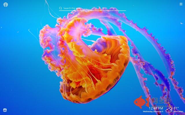Jellyfish HD Wallpapers New Tab Theme