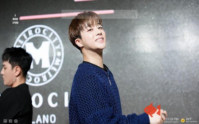 iKON Themes