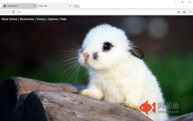 Bunny HD Wallpapers Rabbit New Tab Theme