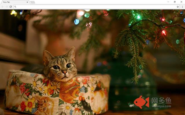 Christmas Snow Backgrounds & Themes