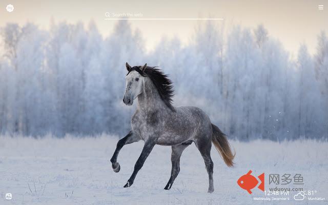 My Winter Animals HD Wallpapers New Tab Theme