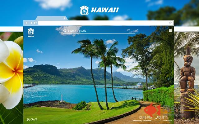 Hawaii HD Wallpaper New tab Theme