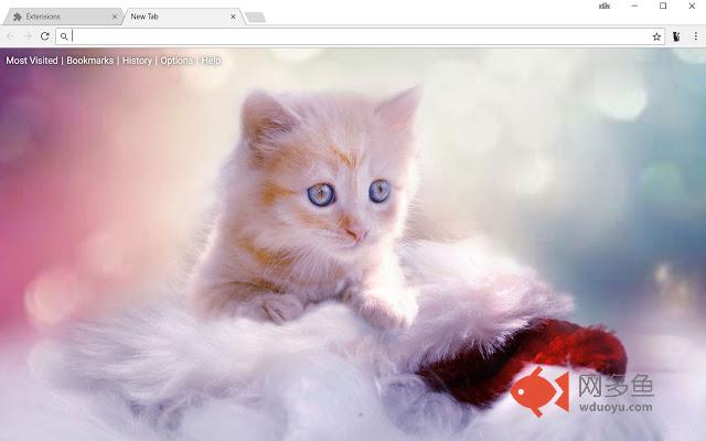 Cute Cats & Kittens New Tab Wallpapers Themes