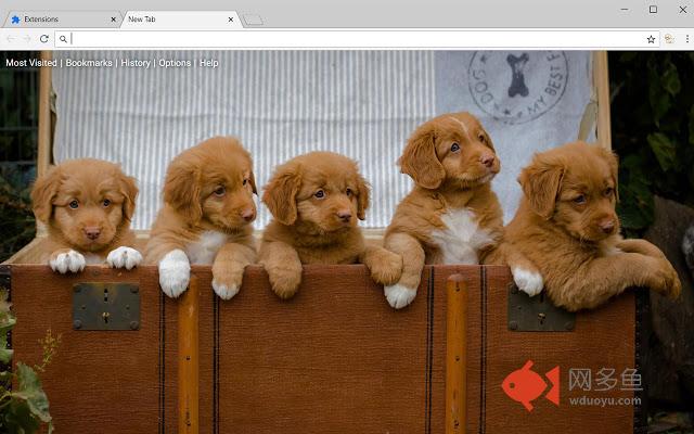 Golden Retriever Dogs & Puppies New Tab Theme