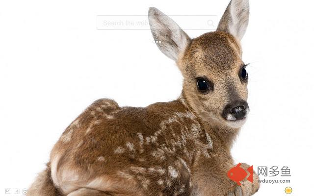 Deer HD New Tab