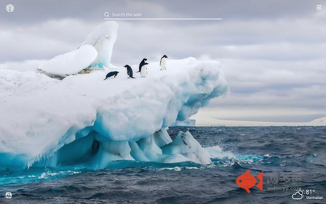 Iceberg HD Wallpapers New Tab Theme