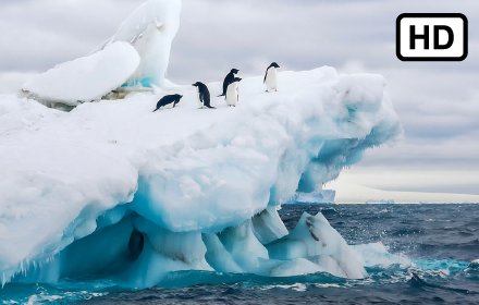 Iceberg HD Wallpapers New Tab Theme插件截图