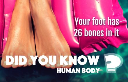 Did You Know? Human Body HD Wallpaper New Tab插件截图