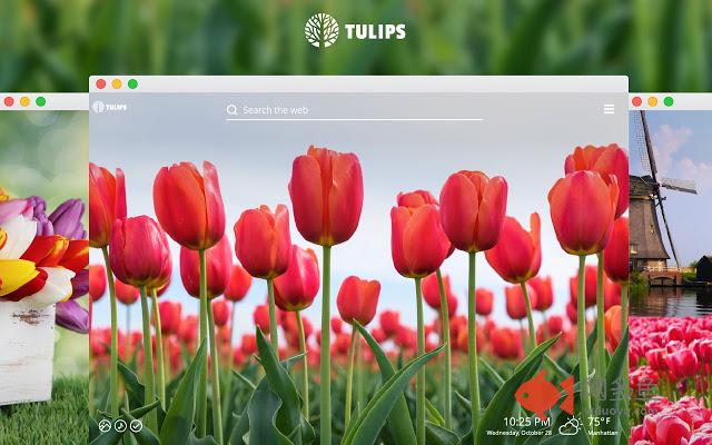 Tulips Flowers HD Wallpaper New Tab Theme