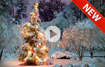 Christmas Animated Snowfall NewTab christmas插件截图