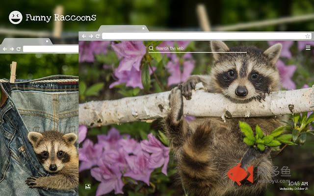 Funny Raccoons HD Wallpapers New Tab Theme