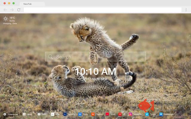 非洲景色 新标签页 高清壁纸 热门壁纸 主题