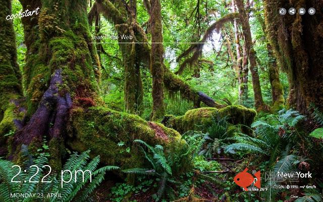 Jungle Forest HD Wallpapers Nature Theme