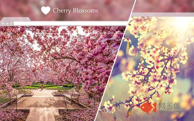 Cherry Blossom HD Wallpapers New Tab Theme