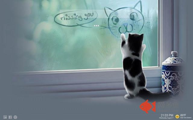 Cats Wallpapers HD New Tab Kittens