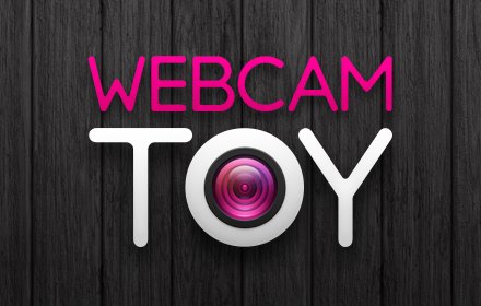 Webcam Toy插件截图