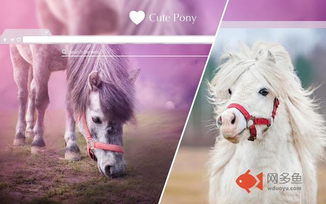 Cute Pony HD Wallpaper New Tab Theme