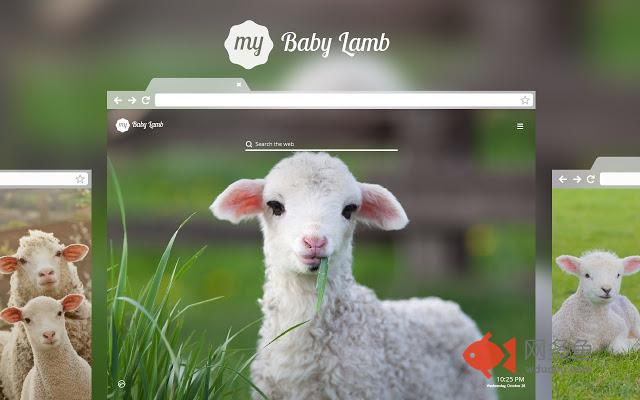 My Baby Lamb HD Wallpapers New Tab Theme