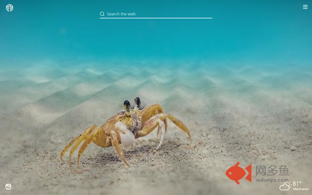 Crabs HD Wallpapers New Tab Theme