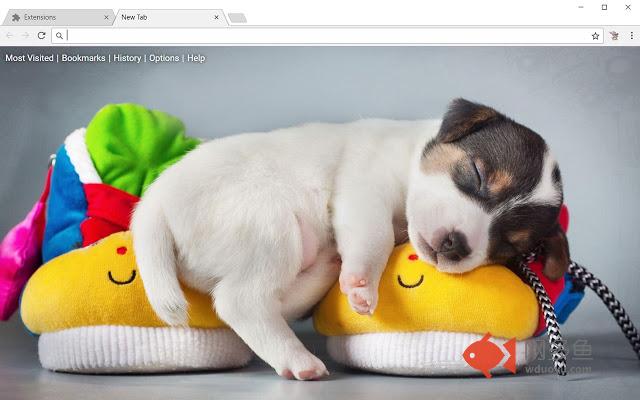 Baby Animals HD Wallpapers Animal Themes
