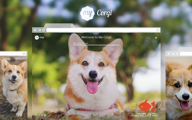 My Corgi HD Dog Wallpapers New Tab Theme