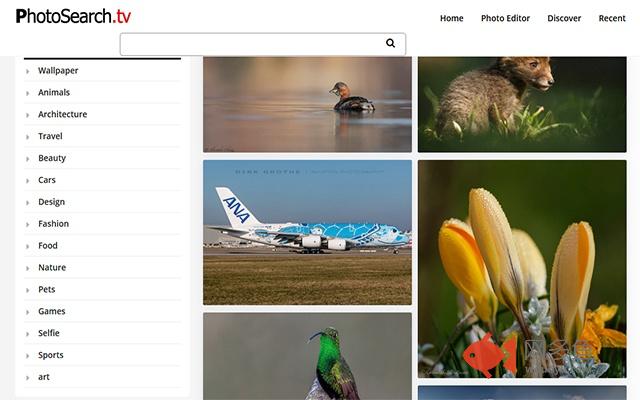 Photo Search
