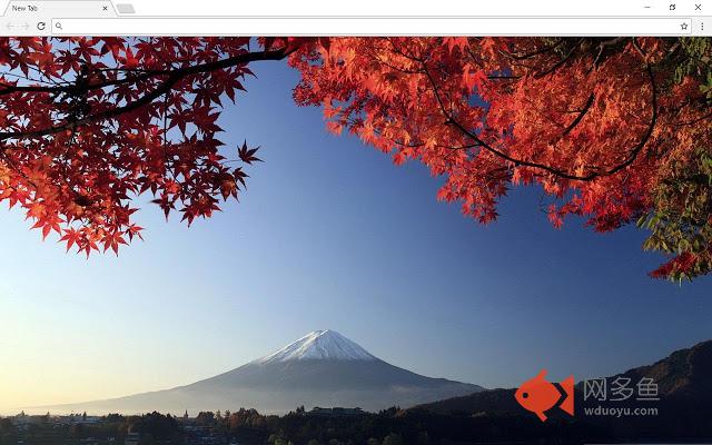 Autumn Fall Wallpapers
