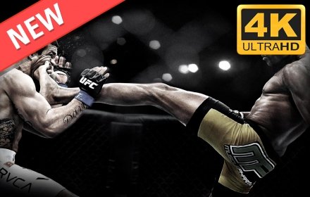 UFC MMA Fighters HD Wallpapers New Tab Theme插件截图