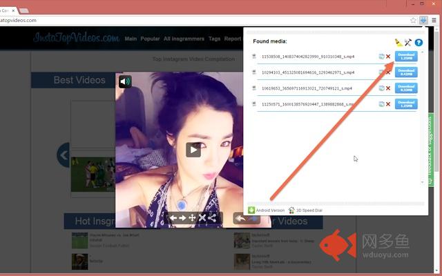 Flash Video Downloader