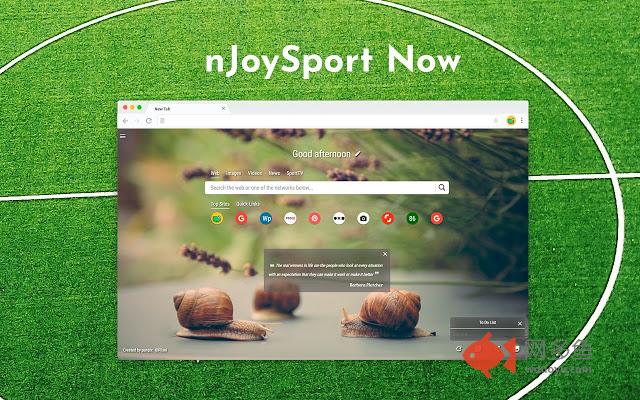 nJoySport Now