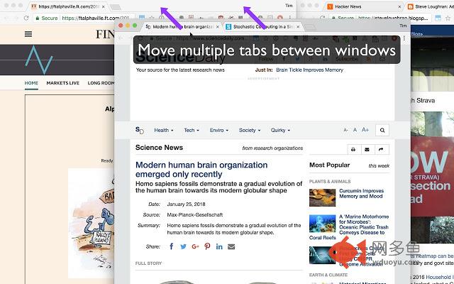 QuickShift Redux - Rearrange Chrome Tabs插件截图