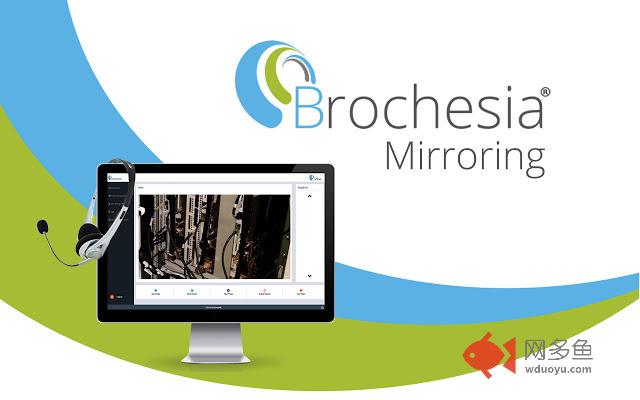 Brochesia Mirroring