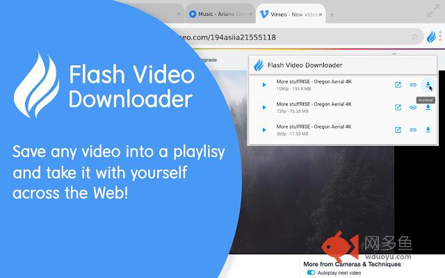 Flash Video Downloader 