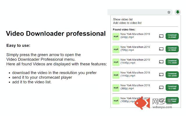 Video Downloader professional